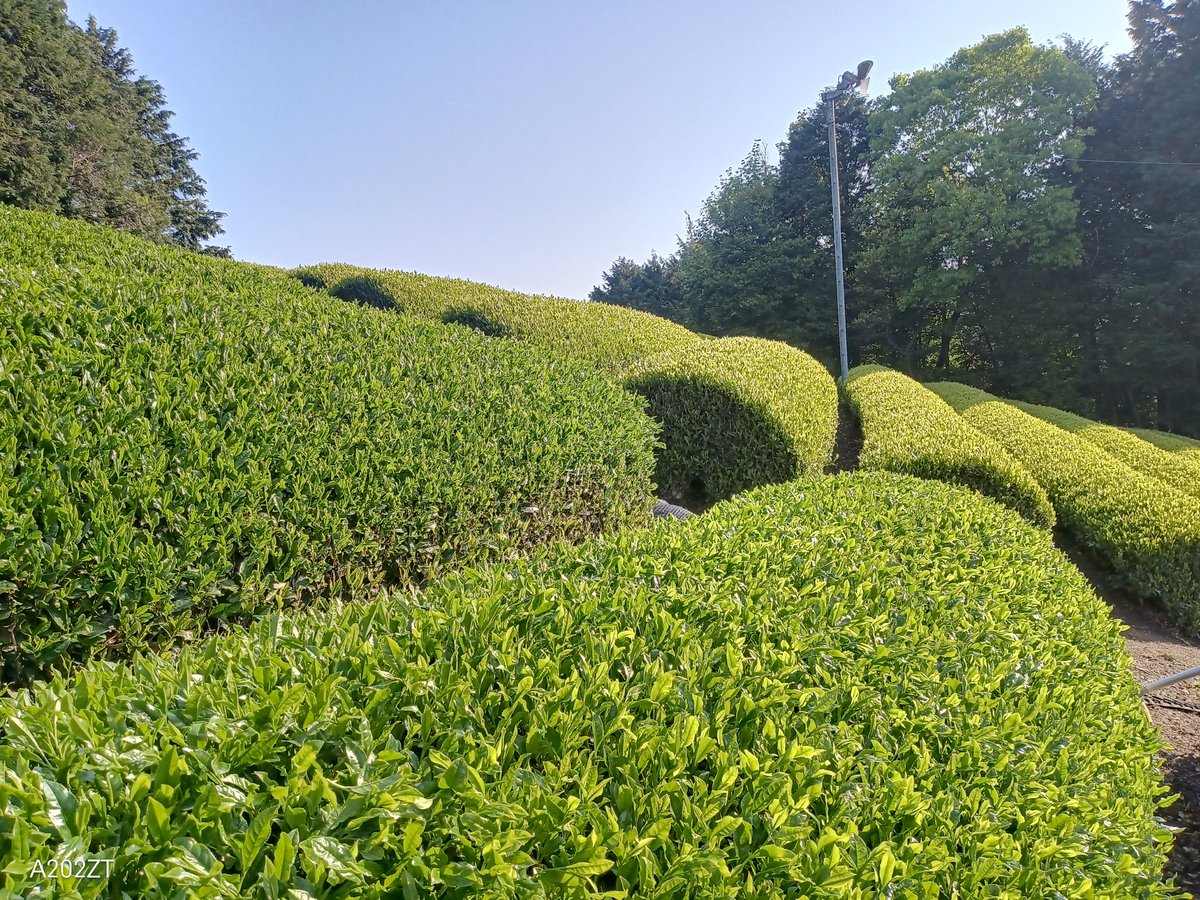 もこ (@Moco_H) / Posts / X