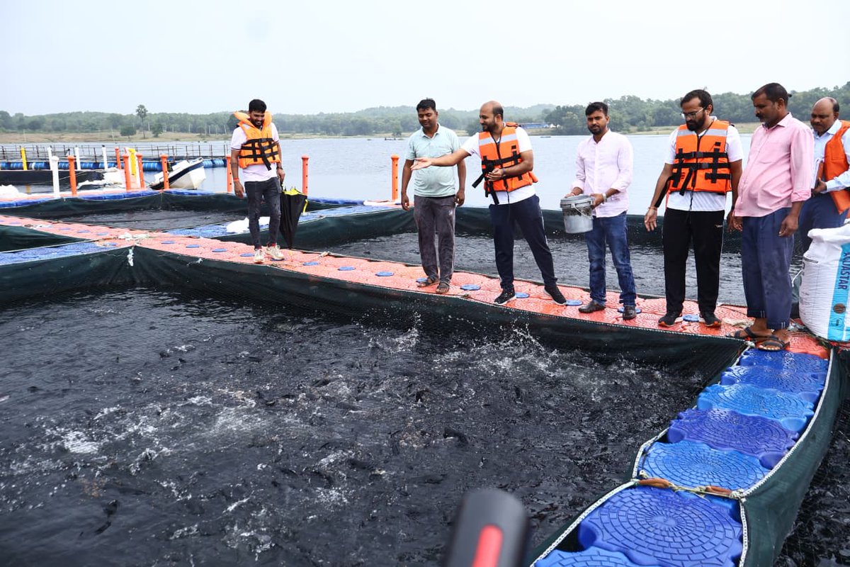 dckoderma's tweet image. आज मरकच्चो प्रखंड का दौरा कर मत्स्य पालन योजना के क्रियान्वयन की स्थिति की विस्तृत समीक्षा की तथा स्थल पर संबंधित पदाधिकारियों को आवश्यक दिशा-निर्देश दिया।
#DistrictAdministrationKoderma 
@JharkhandCMO @HemantSorenJMM @kccjharkhand @IprdKoderma