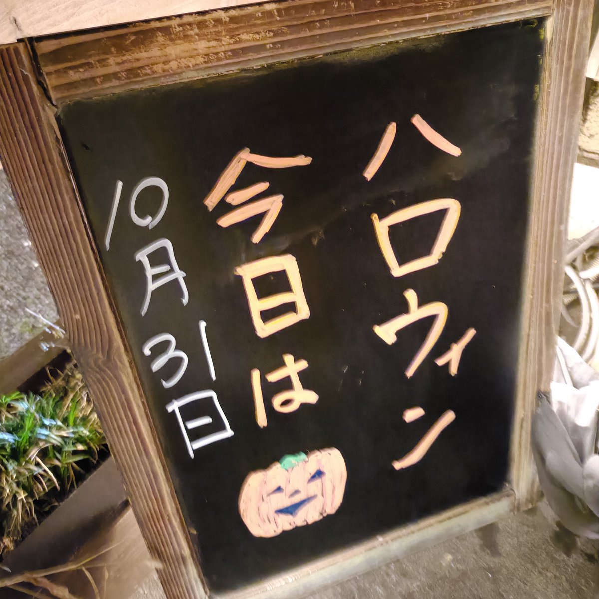 ちーちゃん☺︎シンプルなモノクロ鉛筆画 狼🐺の鉛筆画、完成しました✏️✨ 約1年間、絵を描く気にもな