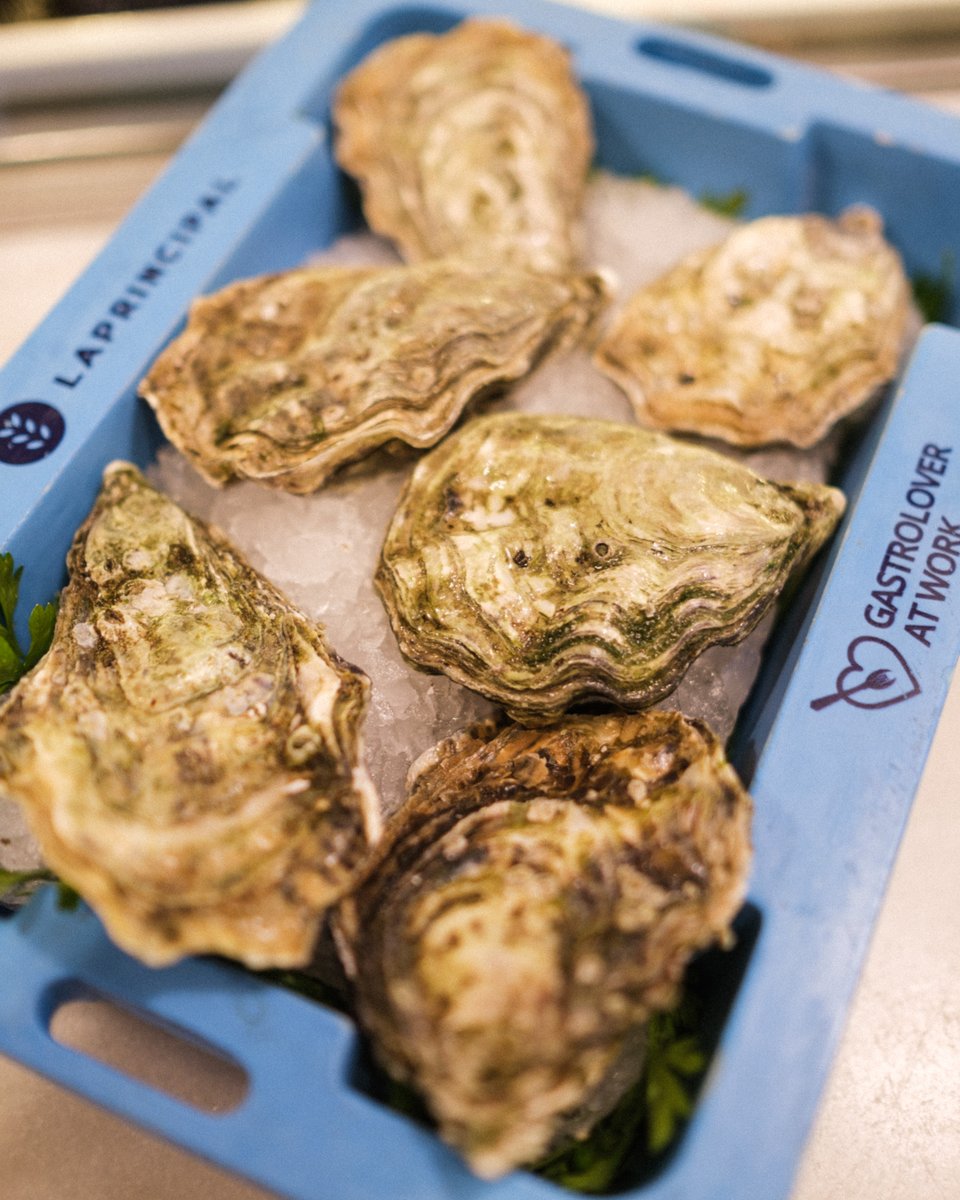 Guillardeau nº2.
No hace falta decir más.