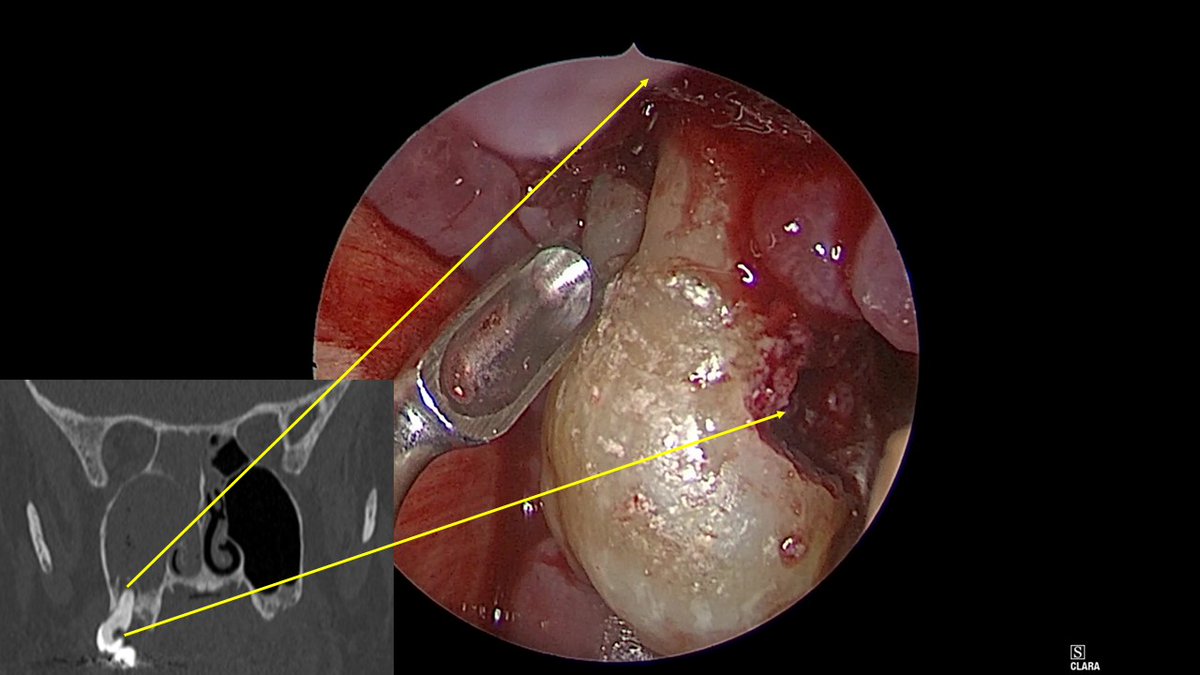 John Craig, MD tweet media