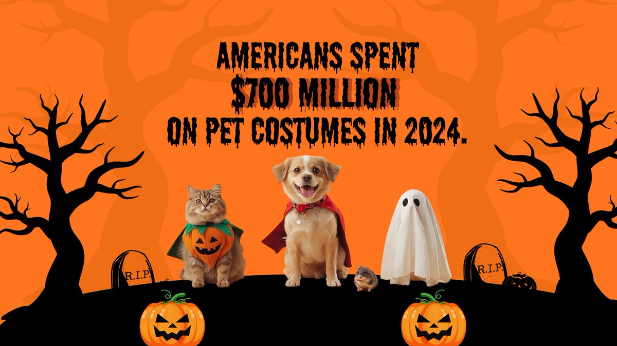 blinnlibrary's tweet image. Fun Fact Friday - Now that is scary! Blinn.edu/Library