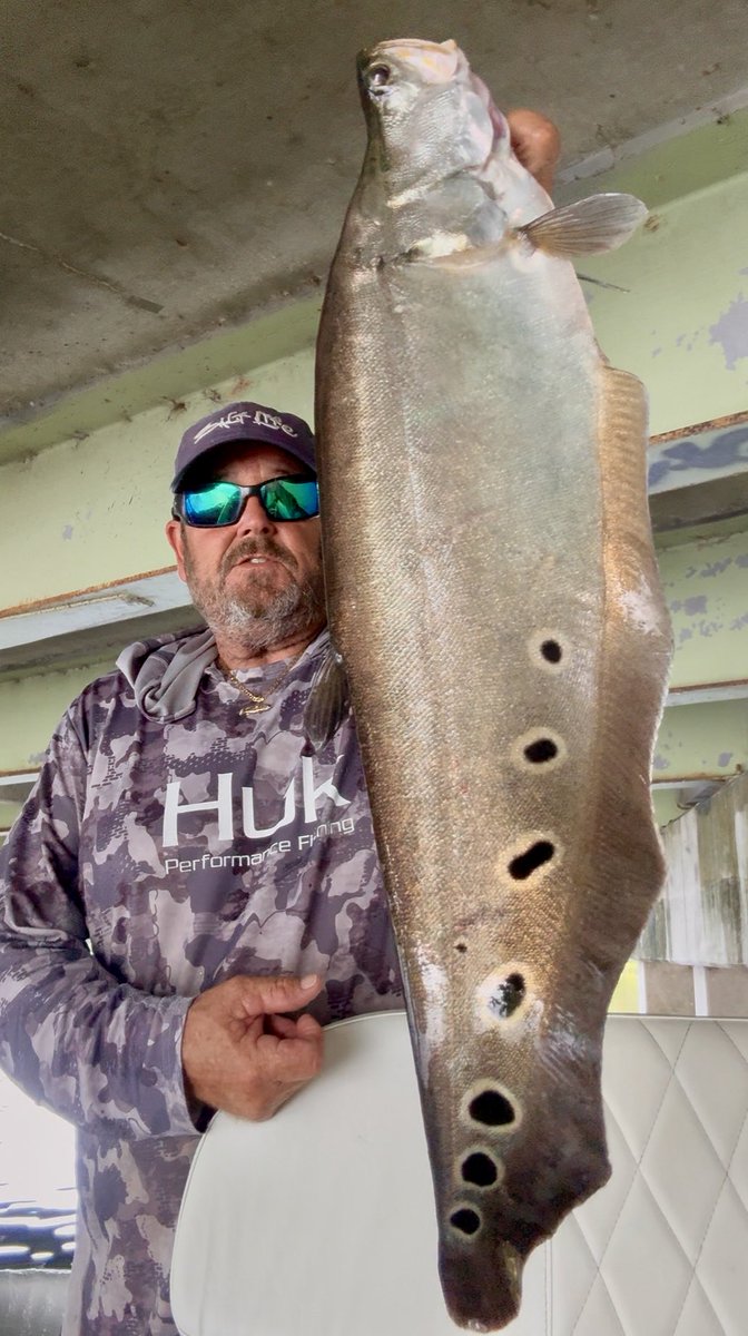 Native Son tweet media