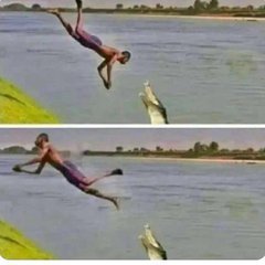 256Rootyherman's tweet image. Free trial

Enter your credit card number