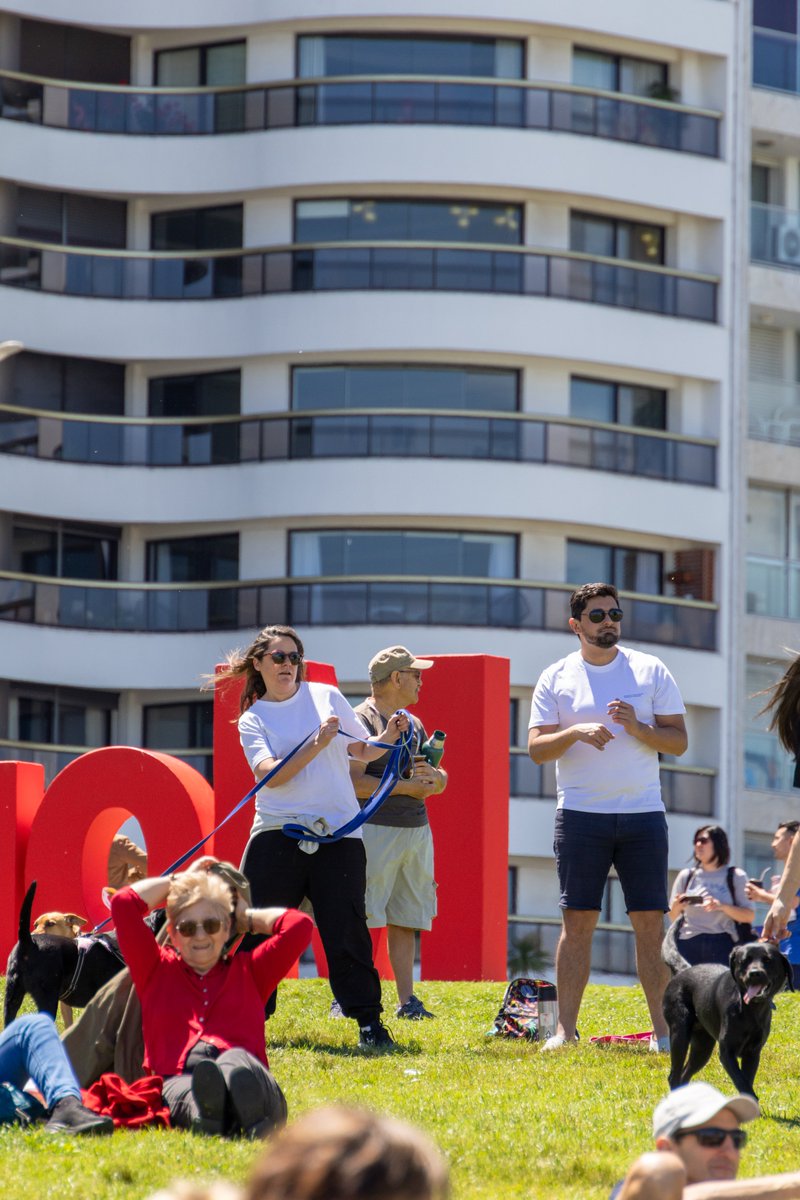 Fundación Corazoncitos tweet media