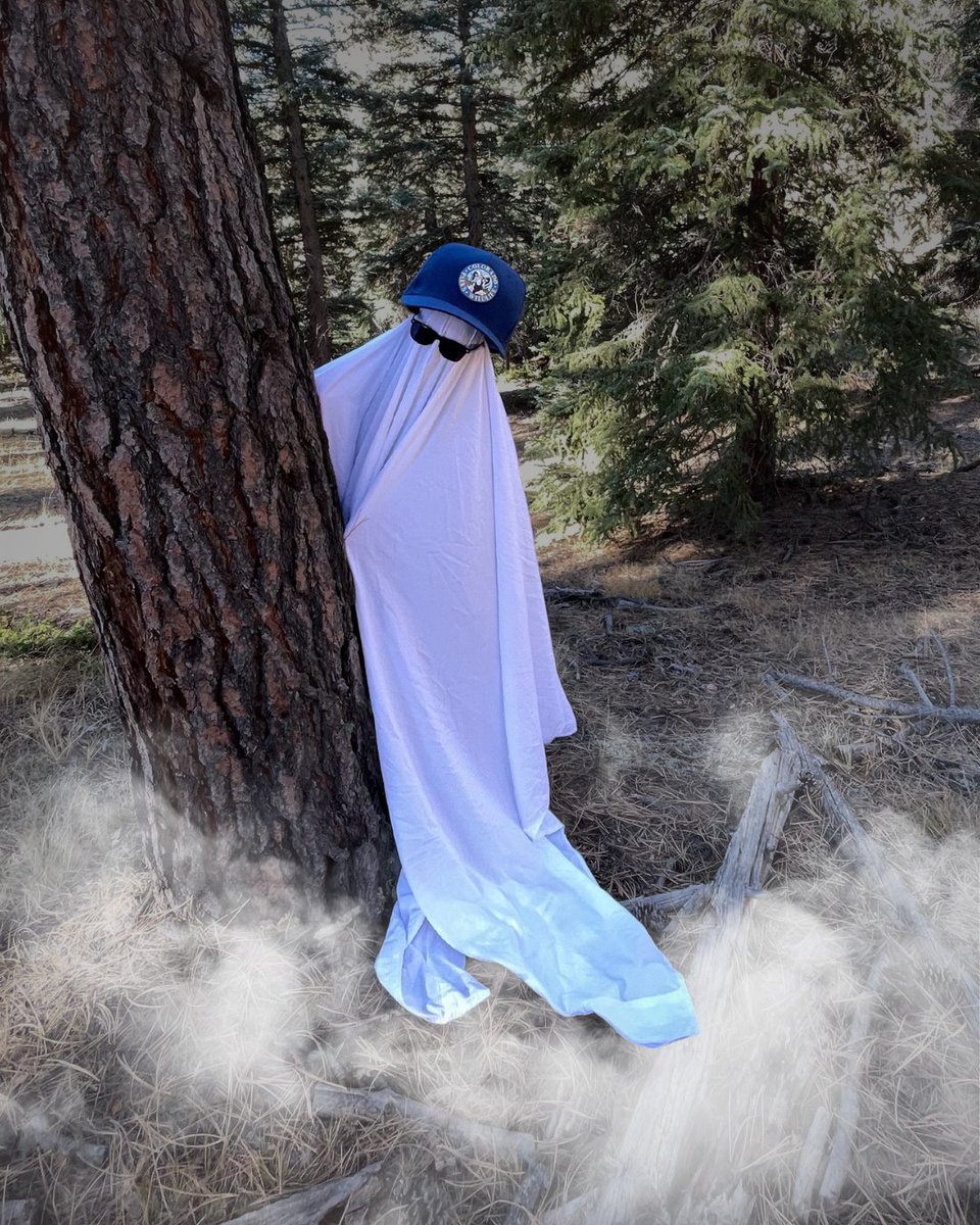 Happy Halloween 👻