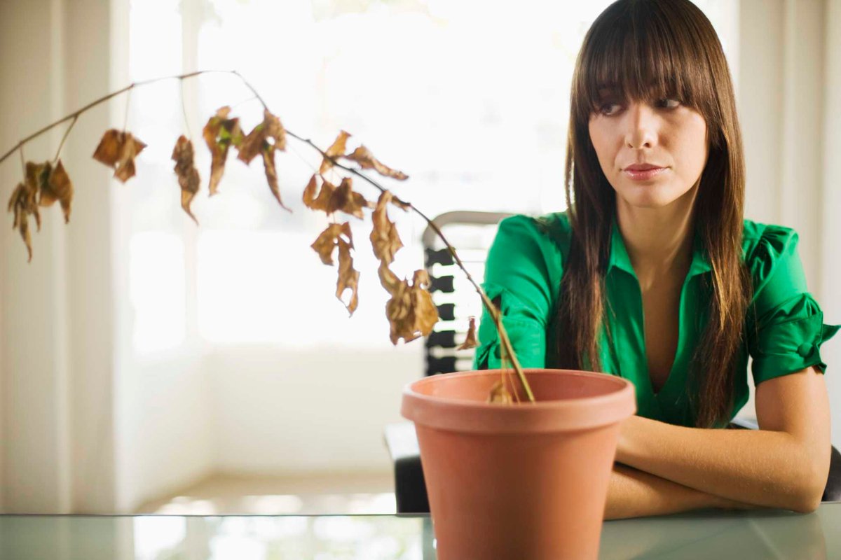 Joseph V. Miloscia tweet media