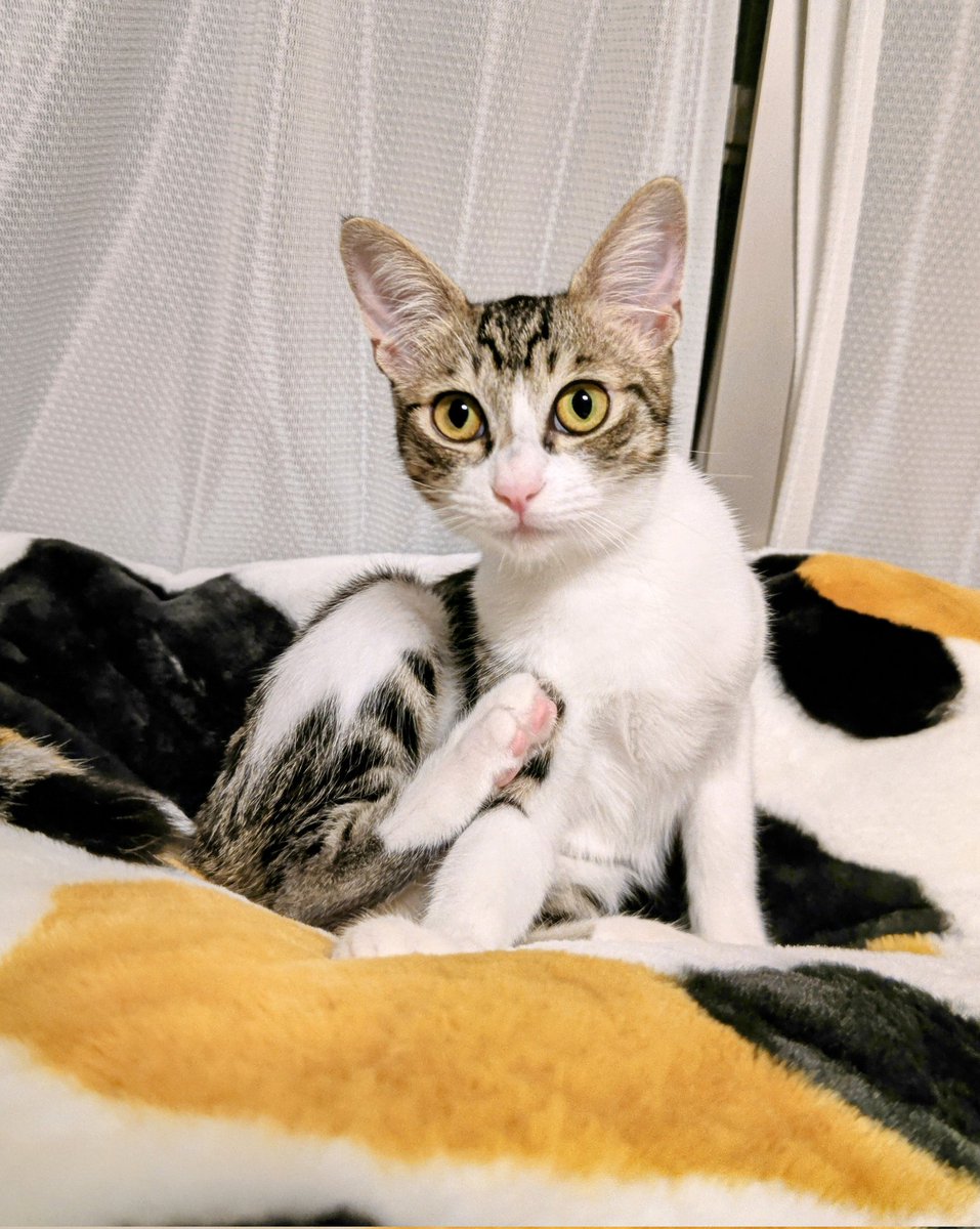 たろうまる🥙 (@taromarunnn) / Posts / X