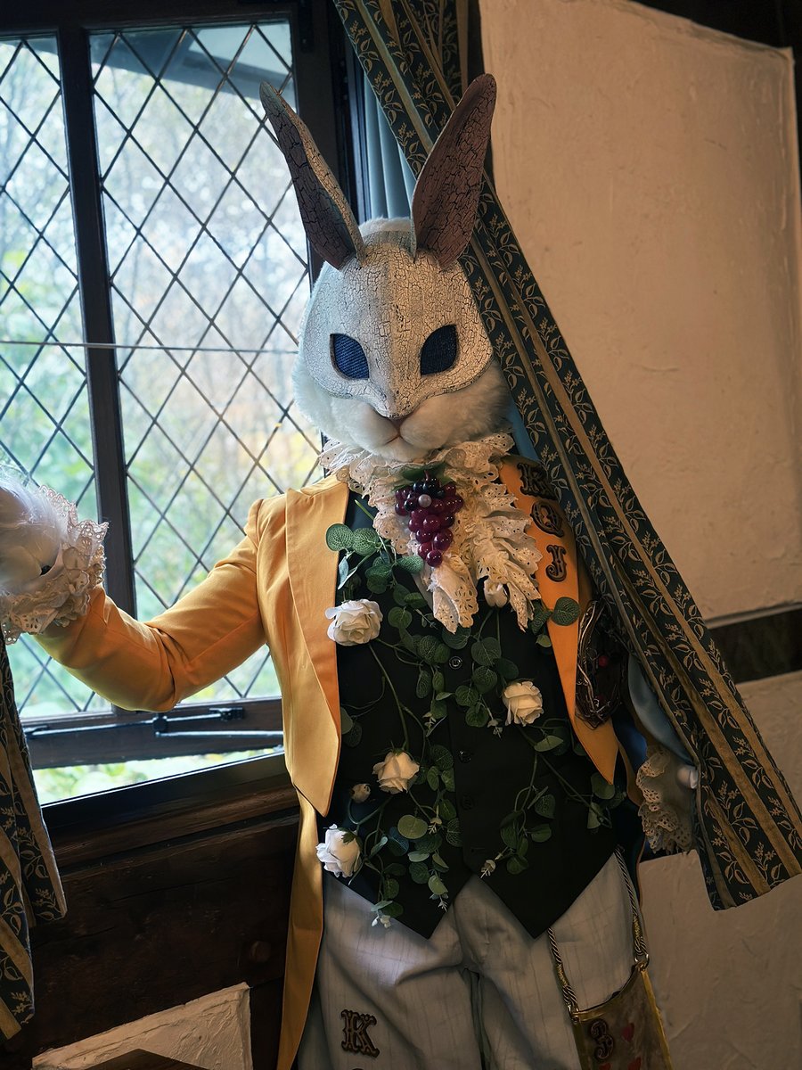 ロデム (@rodemu6) on Twitter photo 