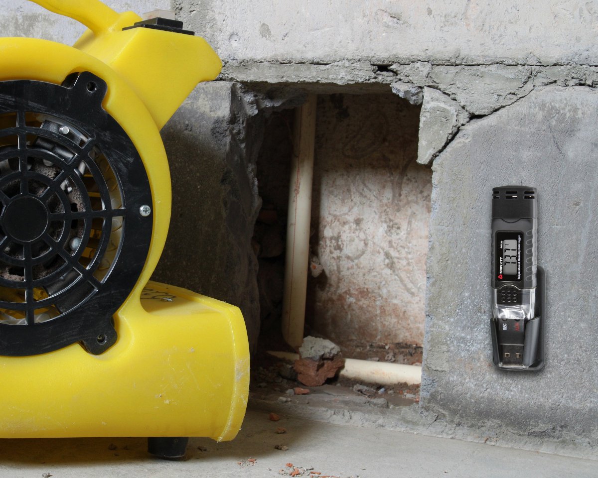 test_tools's tweet image. The Triplett RHDL50 USB Datalogger records up to 16,000 Temperature and Humidity readings. It offers adjustable sampling rates (2 seconds to 24 hours) and high/low alarms with visual alerts. Ideal for indoor settings. Learn more: bit.ly/4cradhS