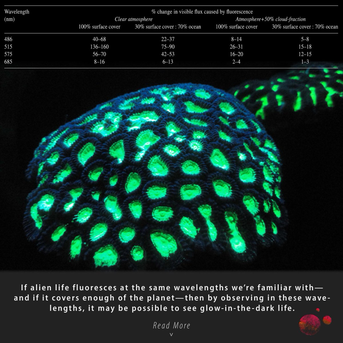 CSInst's tweet image. Happy Halloween! ✨ 👻 🎃 Jack-o’-lanterns aren’t the only signs of life  that glow in the dark. Some organisms on Earth do, too. Would a distant  planet full of glow-in-the-dark aliens be detectable to our telescopes?

Find out here! : bsky.app/profile/carlsa…