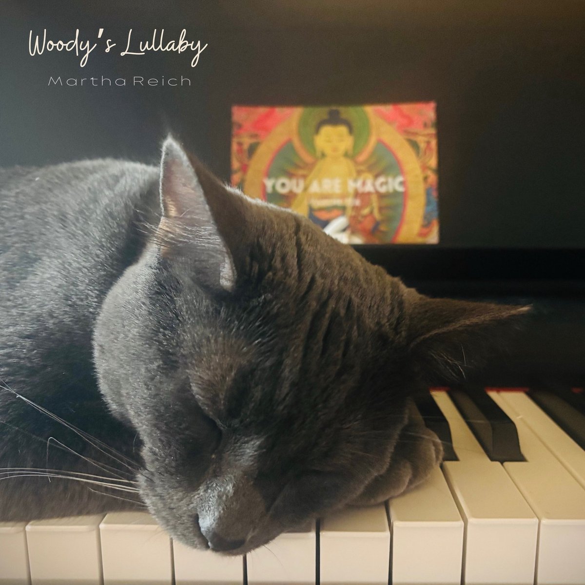 Martha Reich’s new song “Woody’s Lullaby” is OUT NOW!  Listen here: hypeddit.com/6dv7ui

#marthareich #woodyslullaby #singersongwriter #folk #grindethos #songwriter #halloween