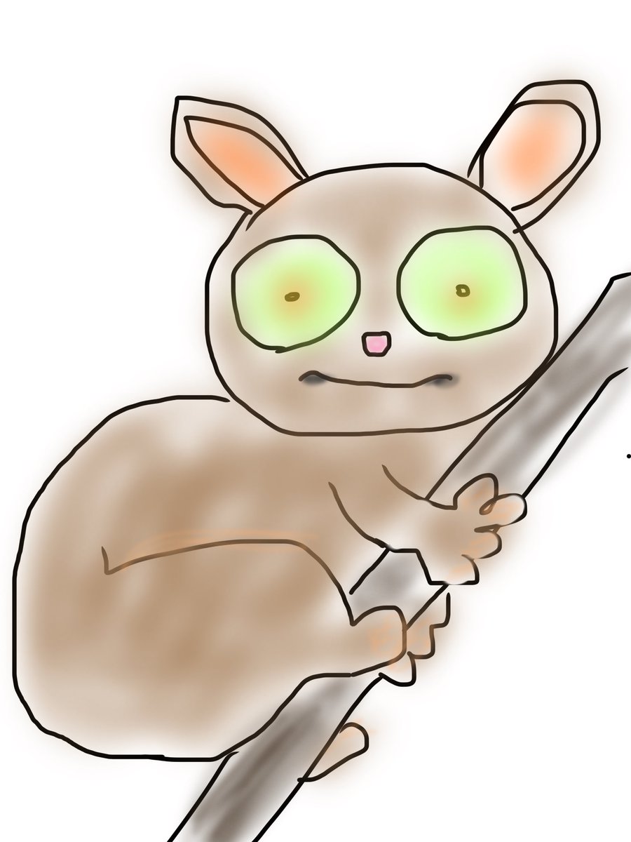 8日目
7日目はプンバァ