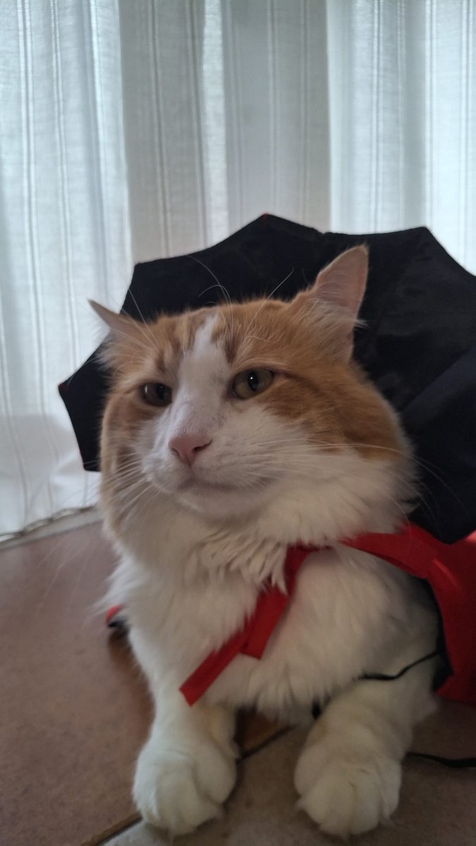 El vampirikiki está suelto esta noche