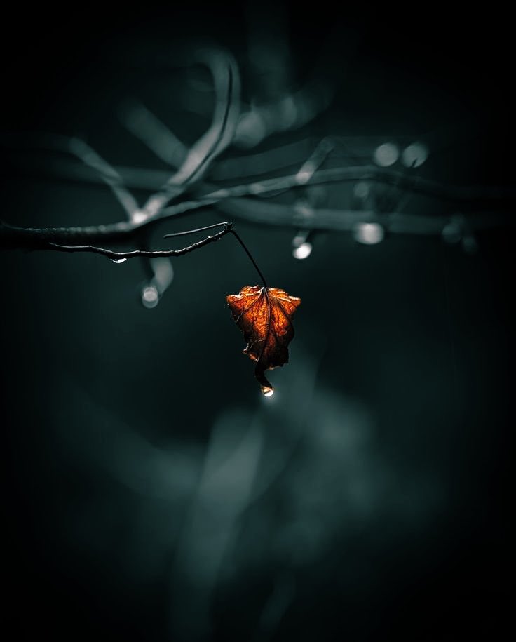 Akışına bırakmadığının
Akışında kaybolup gidersiniz.