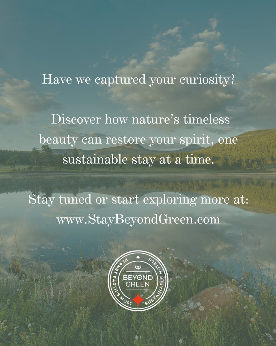 Stay Beyond Green tweet media