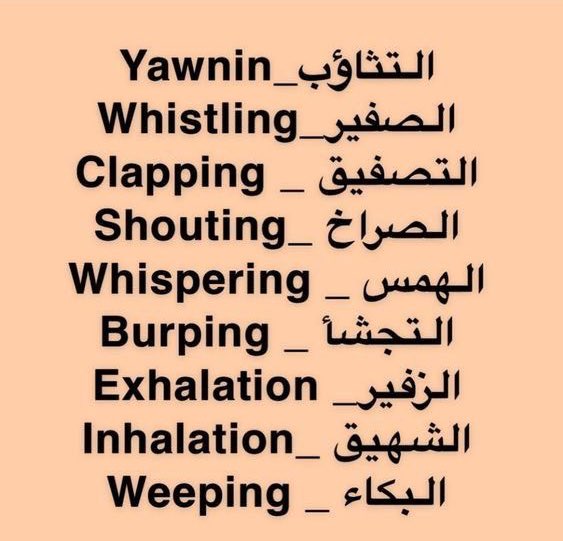 Learn English🚴🏼‍♀️ تعلم الإنجليزية 🌐 tweet media