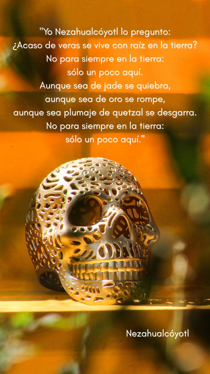 luis zepeda🎭 on x