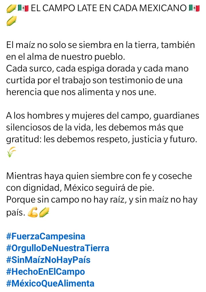 ArnulfoMontoyaM's tweet image. 🚨 Sin maíz no hay país 🔴