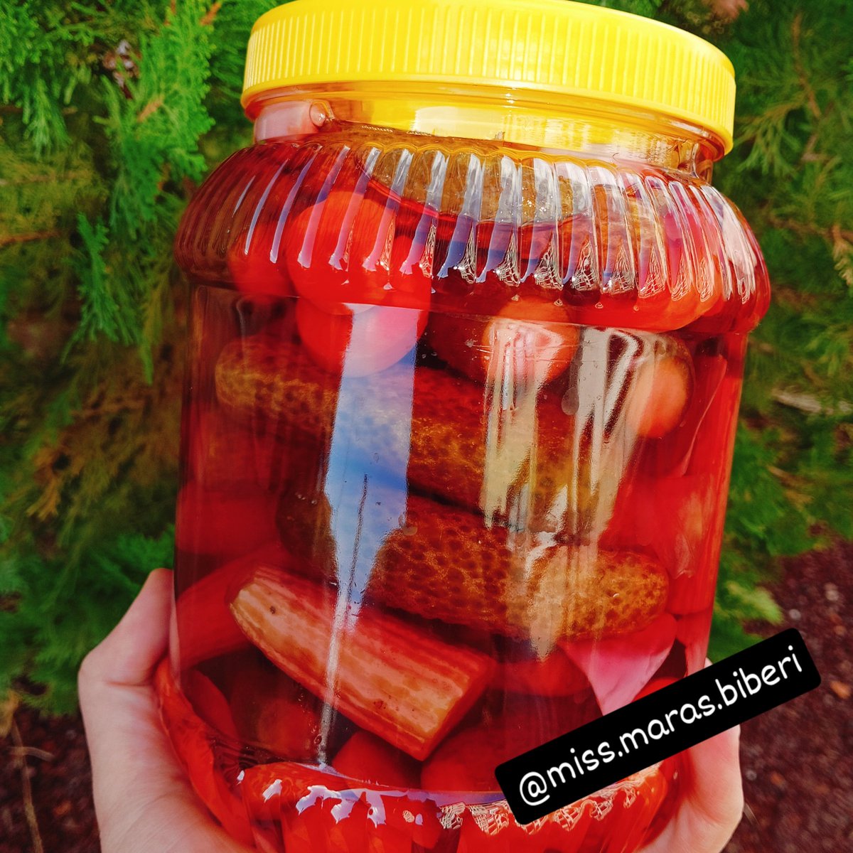 📍Son 10 adet kaldı 
📍Yetişen alır 
📍Ev turşusu 
📍Sebzesini yiyin , suyunu için.
Rt edermisiniz?