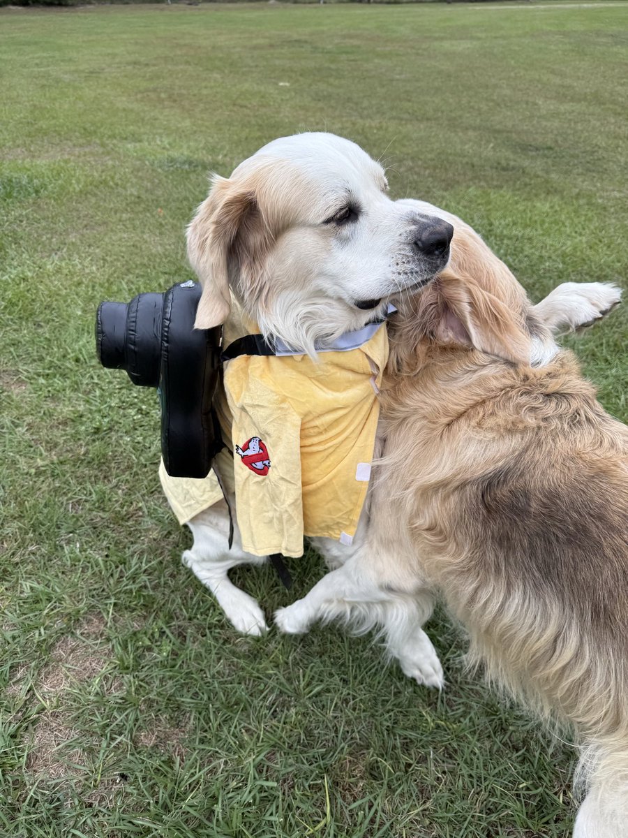 When there’s something bad in the neighborhood, who you gonna call?