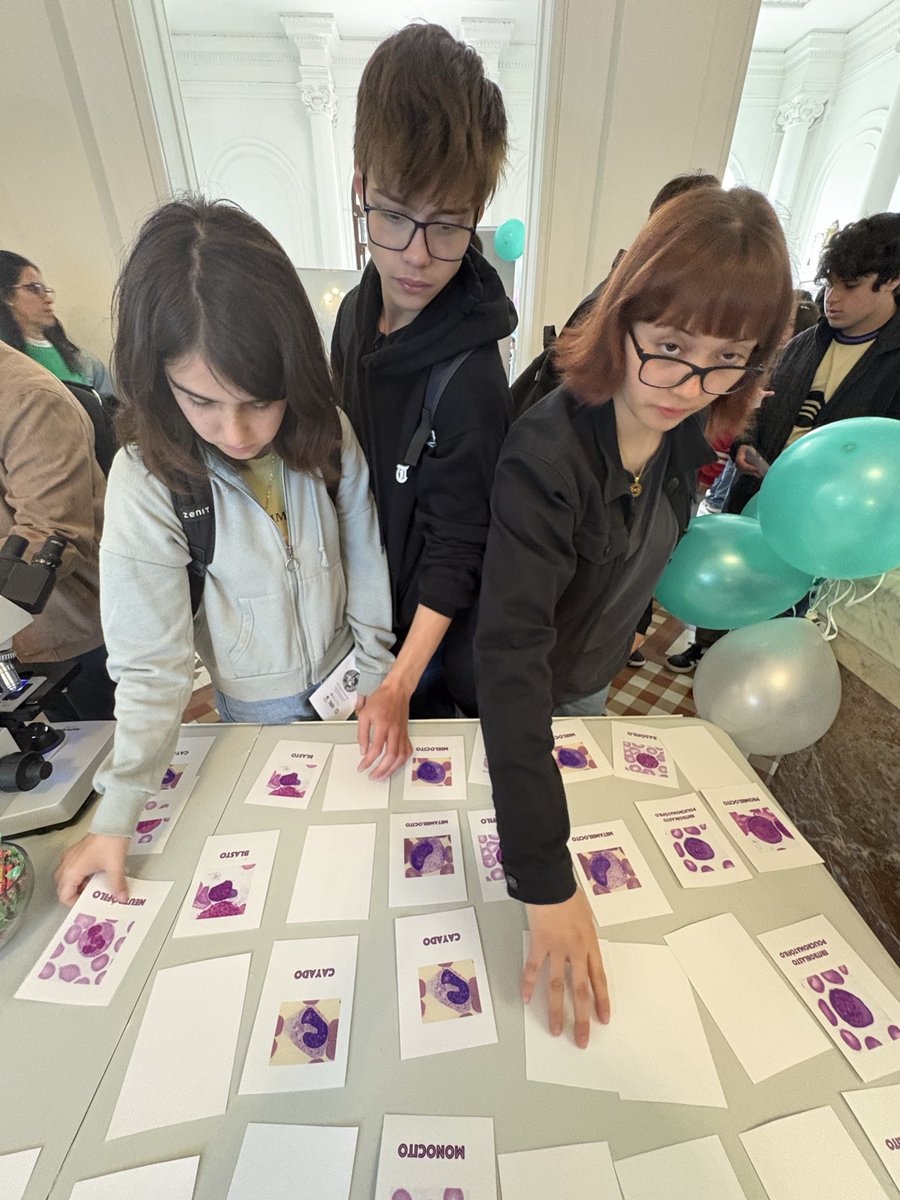 Unidad Académica de Hematología. tweet media