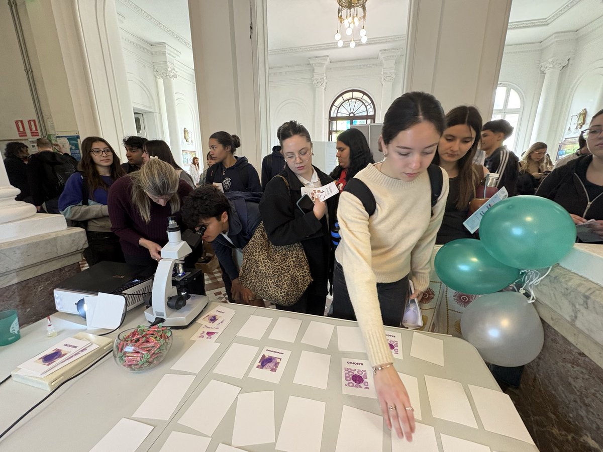 Unidad Académica de Hematología. tweet media