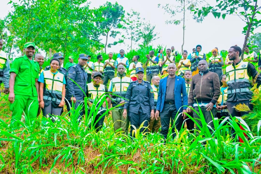 RutsiroR's tweet photo. @RutsiroRYVCP twasoje ukwezi kw’ibikorwa by’ubukorerabushake byabereye @RutsiroDistrict ku rwego @RwandaWest ni ibikorwa bifite agaciro ka million 75.
Hatewe ibiti 563, hakurungiwe inzu 1, hakozwe ubukangurambaga ku kurwanya ibyaha.
@RwandaYouthVol1 @RwandaLocalGov @Rwandapolice https://t.co/UaACpIl7Gl
