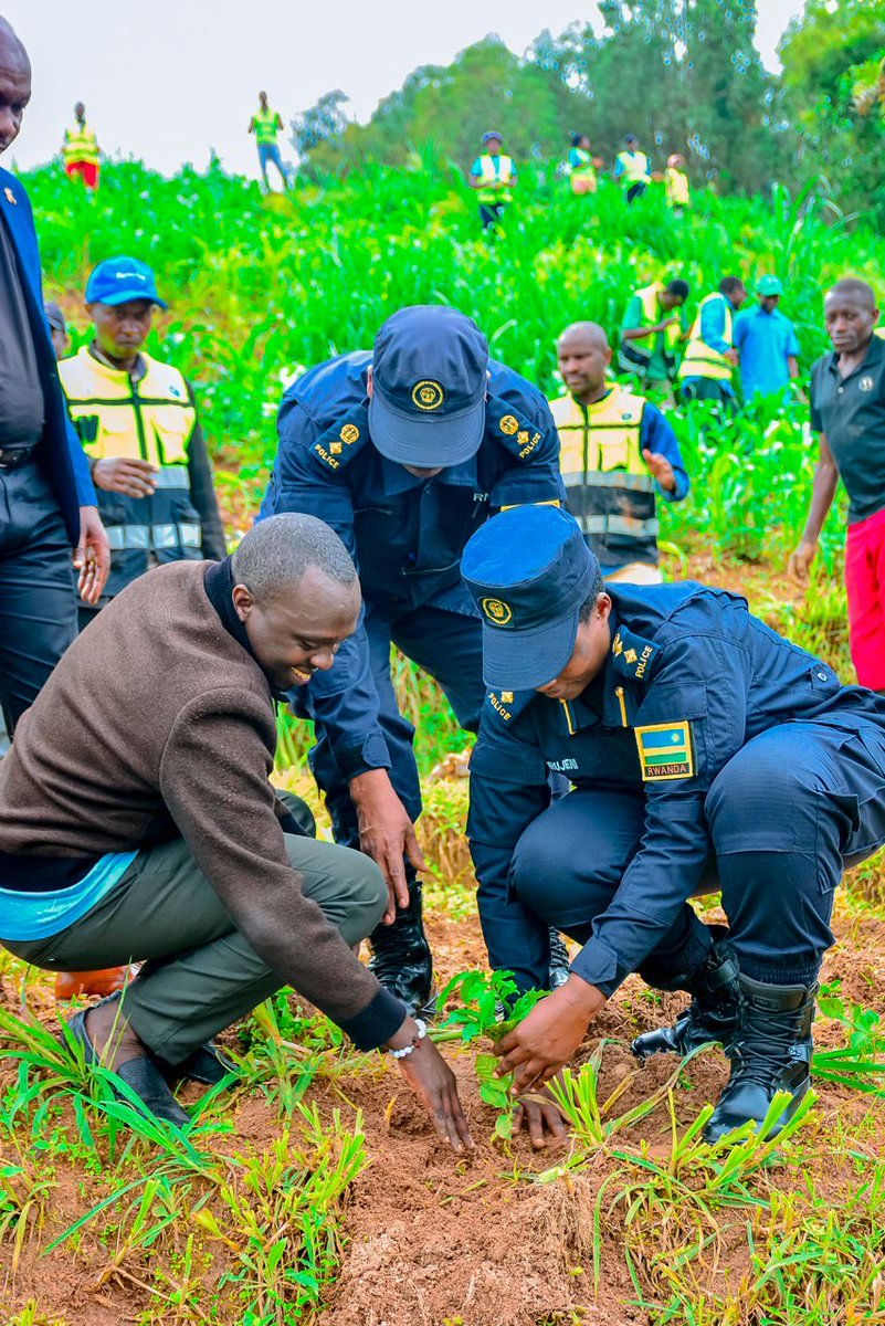 RutsiroR's tweet photo. @RutsiroRYVCP twasoje ukwezi kw’ibikorwa by’ubukorerabushake byabereye @RutsiroDistrict ku rwego @RwandaWest ni ibikorwa bifite agaciro ka million 75.
Hatewe ibiti 563, hakurungiwe inzu 1, hakozwe ubukangurambaga ku kurwanya ibyaha.
@RwandaYouthVol1 @RwandaLocalGov @Rwandapolice https://t.co/UaACpIl7Gl