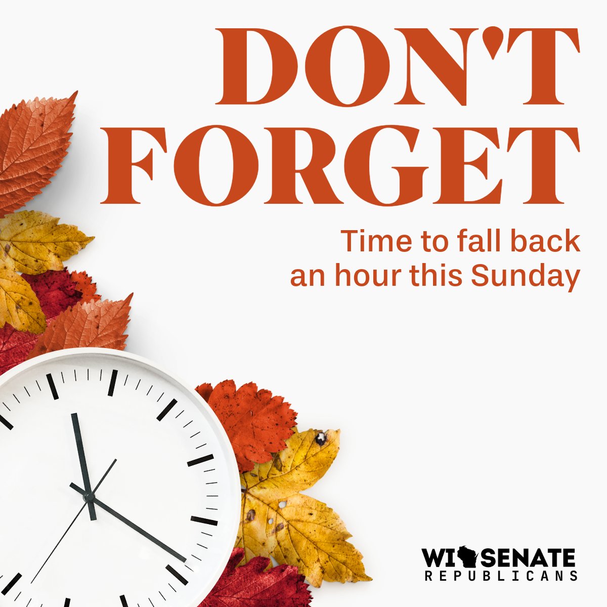 Don’t forget to set your clocks back one hour before you go to sleep tonight.