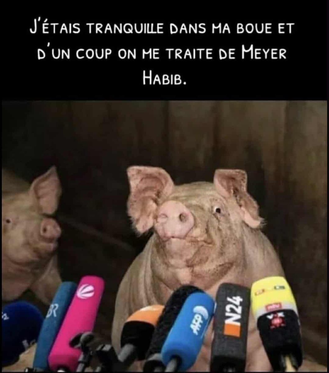 officielsoral's tweet image. 