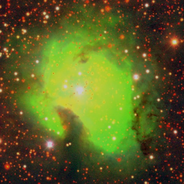 Dr. Stephanie Juneau tweet media