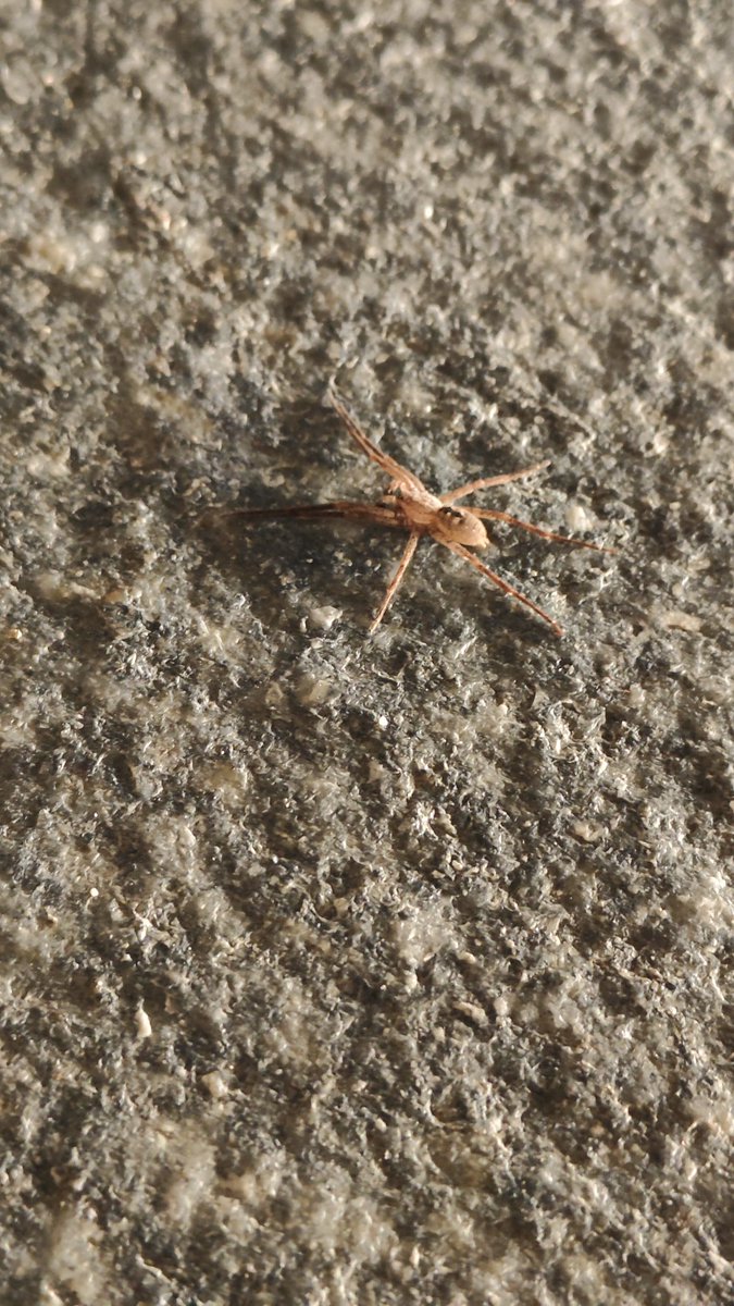 GoingToCalif's tweet image. Ed è arrivato anche il momento, signor @Nicola_Bressi è lui ?