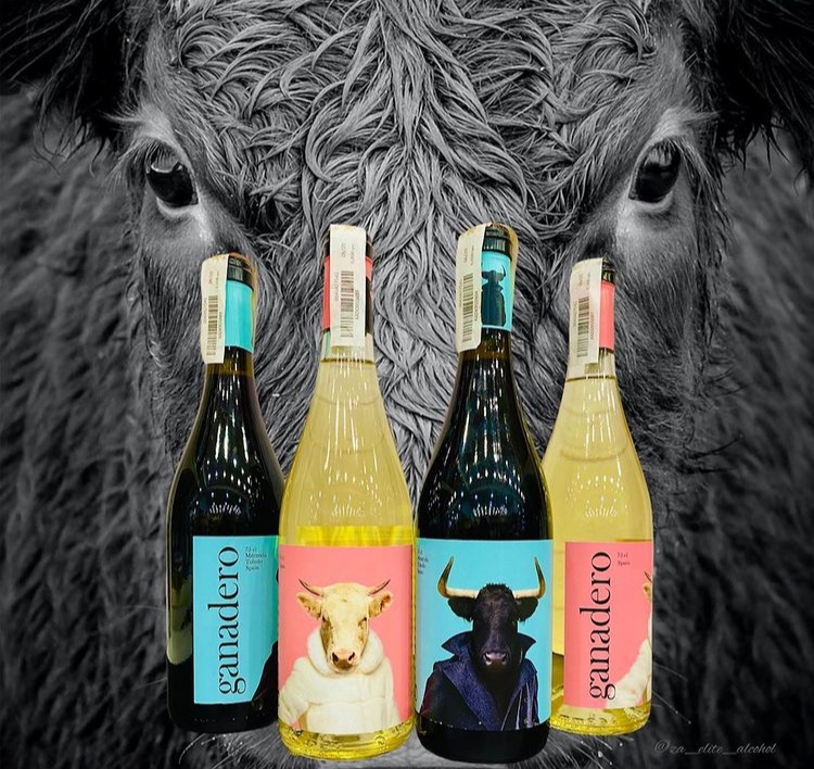 Bodegas Canopy tweet media