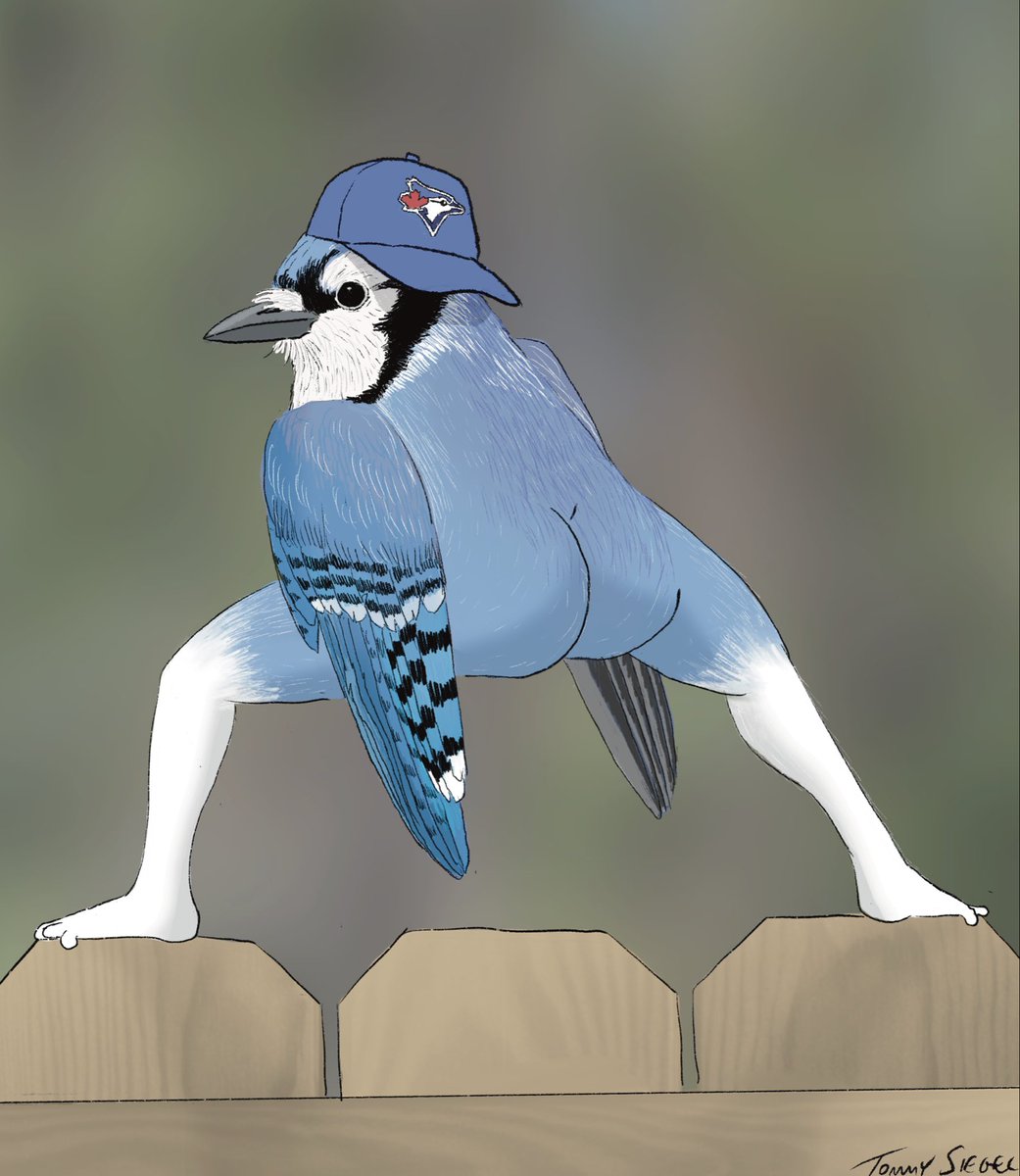 TommySiegel's tweet image. as a bird artist, in honor of tonight’s game i have attempted to draw the gorgeous blue jay as accurately as possible. as always please let me know if you have any constructive criticism