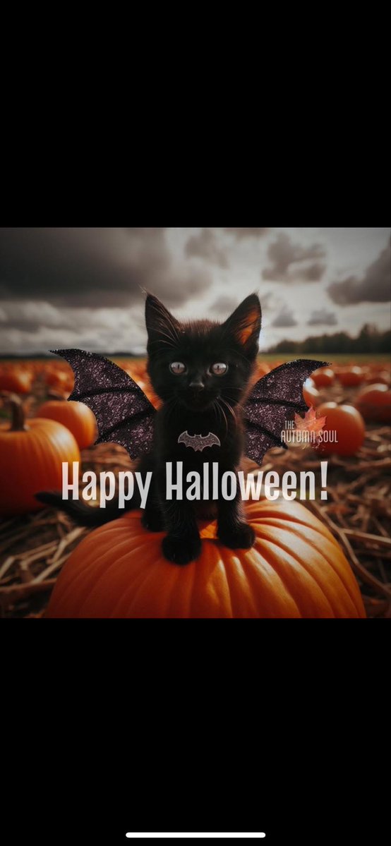 Happy #Caturday eve! All hallowed eve. #AceFrehley #Halloween 🎃👻