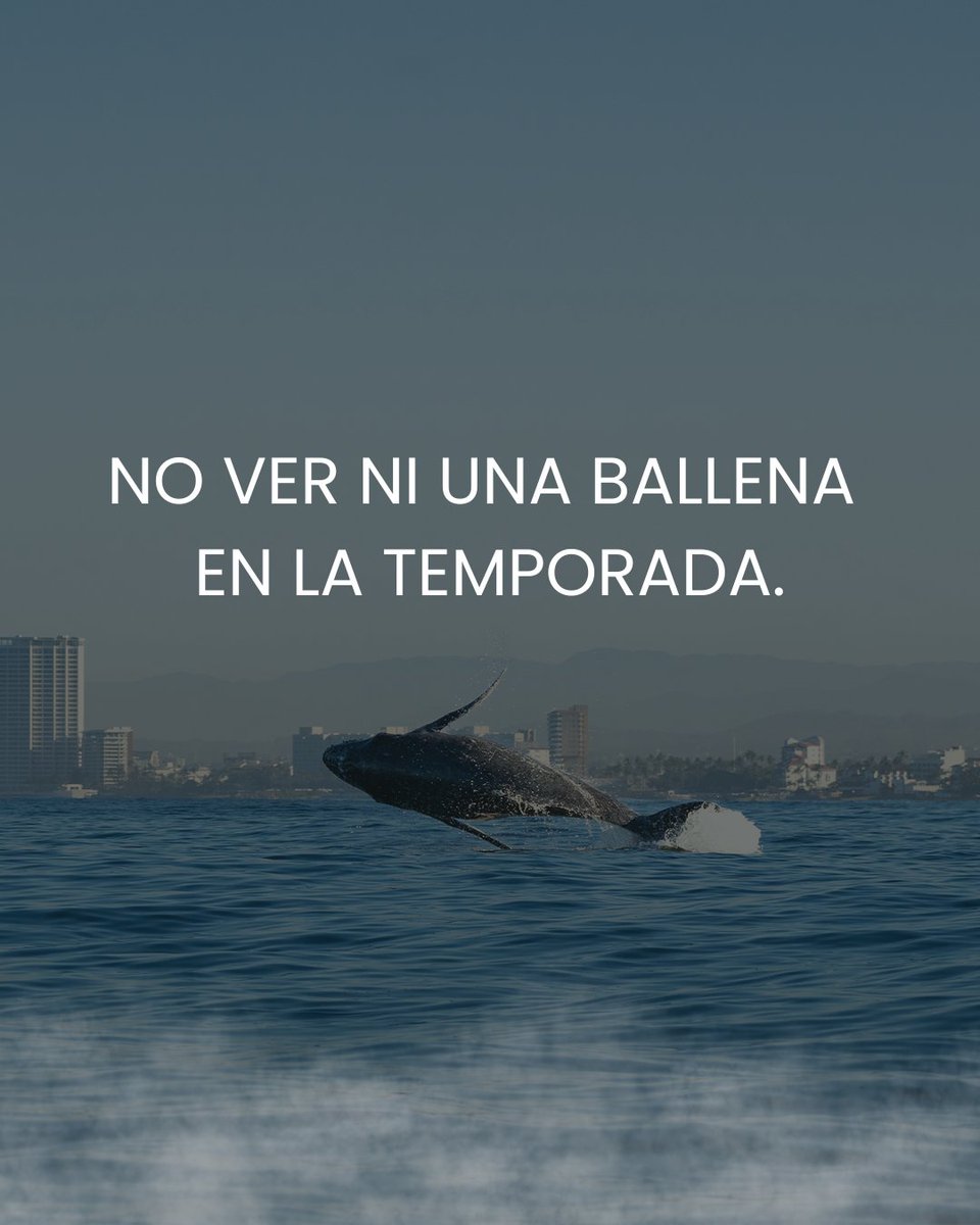 Cosas que de verdad asustan en #PuertoVallarta
.
#Jalisco #Mexico