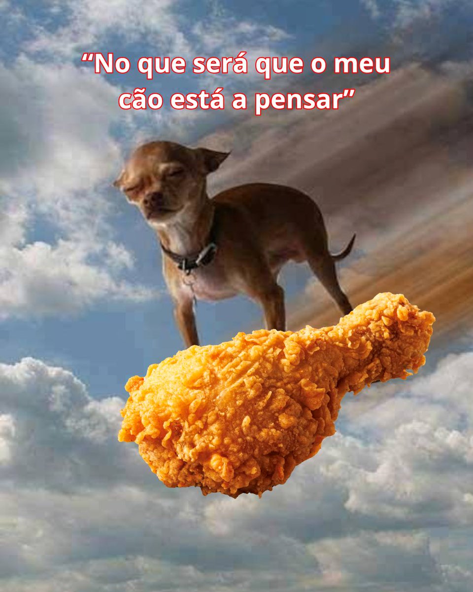 Coxinhas são vida 🍗