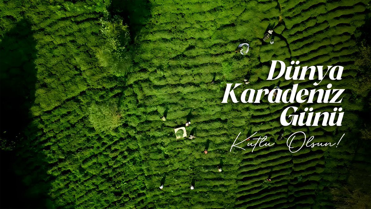 Dünya Karadeniz Günü Kutlu Olsun! 🌿

#TaşacakBuDeniz <a href="/trt1/">TRT 1</a>