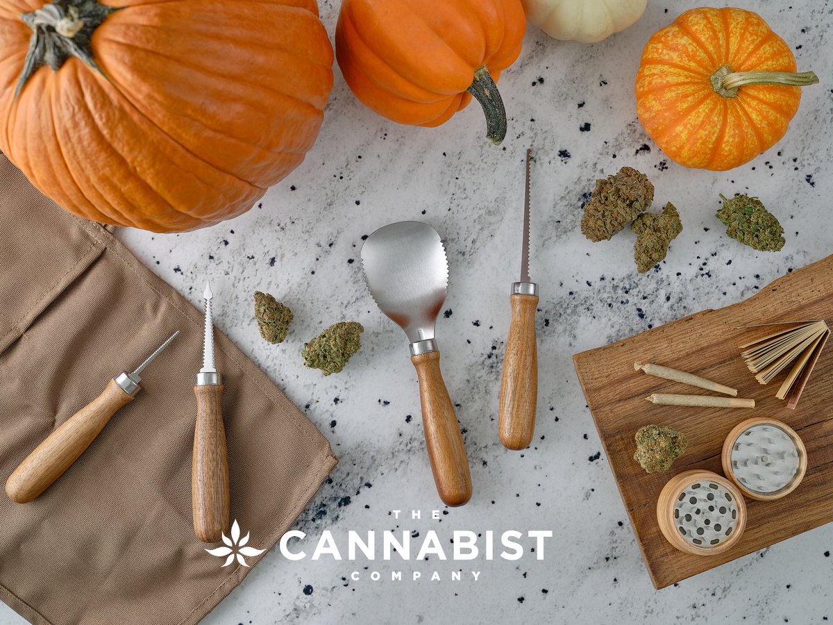 From carving tools to rolling tools, it’s a productive Halloween 🎃🌿
Wishing everyone a fun and safe weekend from our team! #TheCannabistCompany