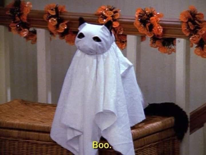 stillpako's tweet photo. Feliz Halloween 👻 https://t.co/0xHA9lPp8k