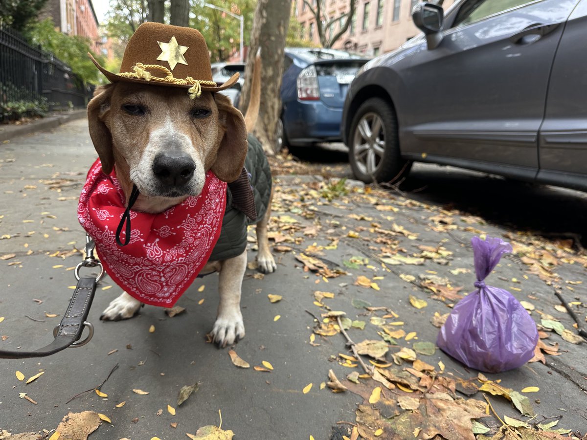 Trick or treat!? 👻