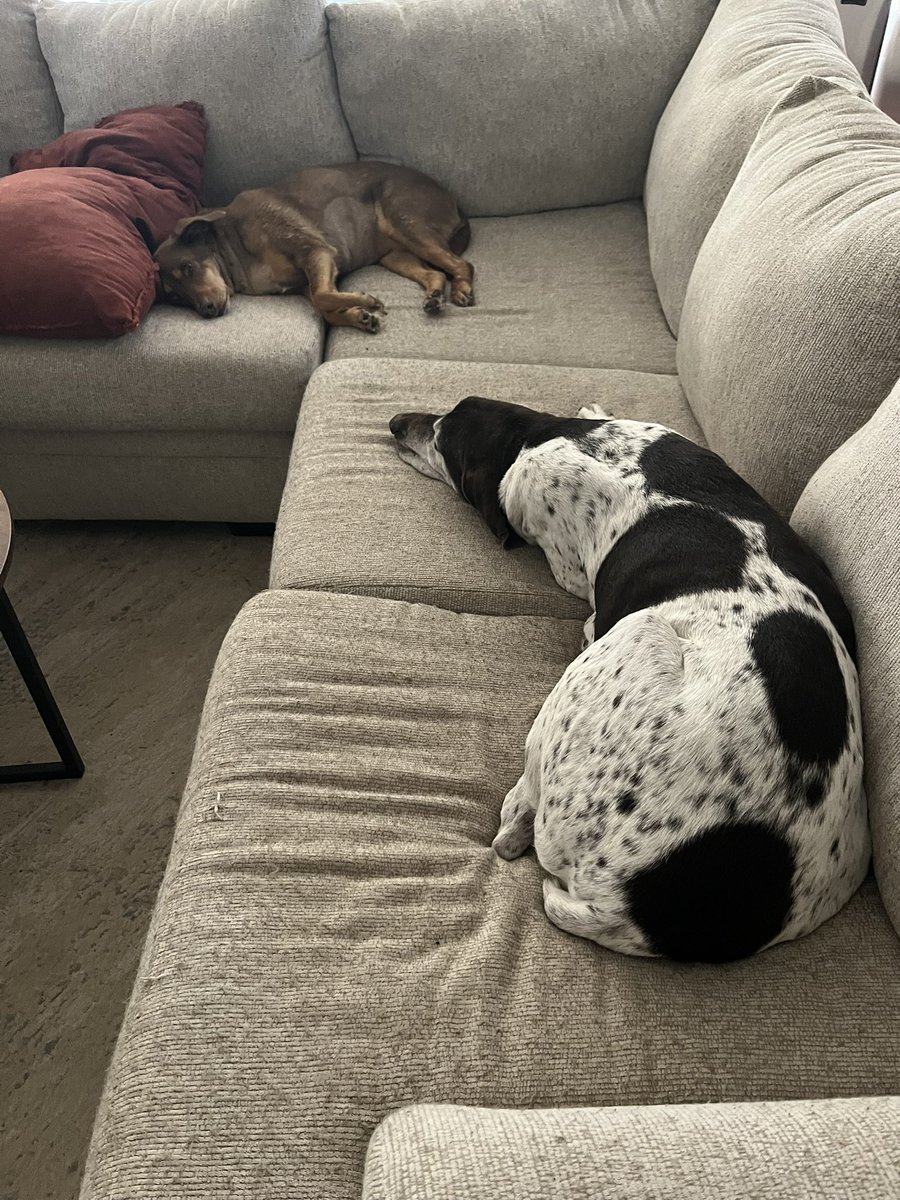 Working from the couch, binge watching <a href="/hallmarkchannel/">Hallmark Channel</a> Christmas movies and listening to dogs snore. Happy Friday y’all 🥰