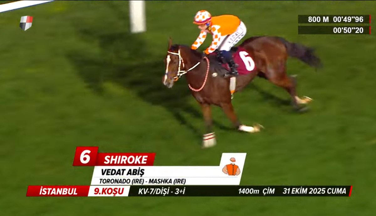 Shiroke bir kez daha turuncu formayla buluşan Abiş ile kazanmayı başardı. Abiş ile <a href="/kahramanekurisi/">Kahraman Ekürisi</a> uyumu tarifsiz 🧡 <a href="/fedai_kahraman/">Fedai Kahraman</a> 

Kadir Baltacı ve <a href="/Eseryesil3/">Eseryesil</a> 'i tebrik ediyorum 👏🏻🧿 Dünden sonra bugün de eküri kazanmaya devam ediyor.