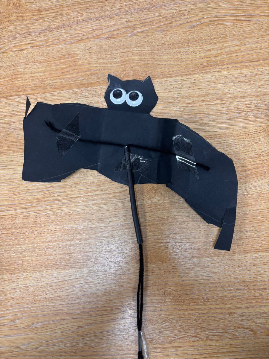 SeafieldHT's tweet photo. 🎃🎃 Wishing our Seafield community Happy Halloween &amp; Bonfire Night 👻 Stay cosy &amp; stay safe 🎆🎇 Thank you Logan for this beastly bat! 🖤 https://t.co/uLRS6e4iPP