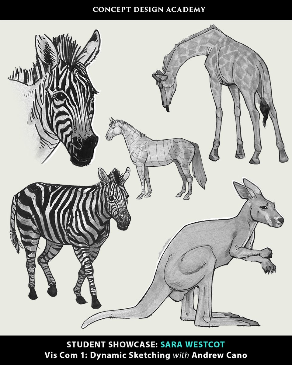 CDA_Staff's tweet image. Check out some of Sara Westcot&apos;s awesome work from Andrew Cano&apos;s &quot;Vis Com 1: Dynamic Sketching&quot; class!

#dynamicsketching #viscom1 #artfoundations #traditionaldrawing #penandink #CDA #conceptdesignacademy mc