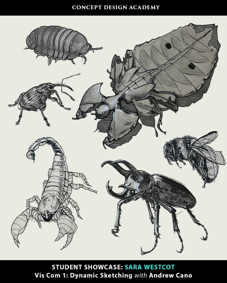CDA_Staff's tweet image. Check out some of Sara Westcot&apos;s awesome work from Andrew Cano&apos;s &quot;Vis Com 1: Dynamic Sketching&quot; class!

#dynamicsketching #viscom1 #artfoundations #traditionaldrawing #penandink #CDA #conceptdesignacademy mc