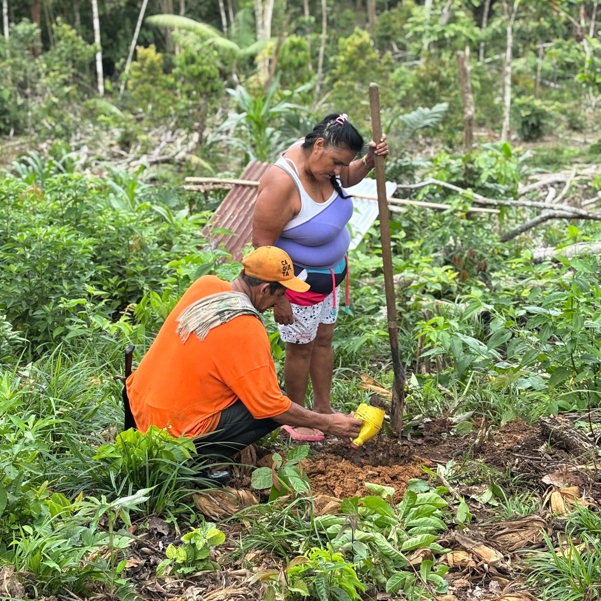 ¡Buenas noticias!

Desde el Pilar 3 de TEFOS, participaremos del Congreso Forestal Nacional de Ibagué, a través del panel: “Del bosque a la economía: cadenas de valor que transforman territorios”.

🗓 4 nov – 2:00 p.m.
📍 Univ. del Tolima, Ibagué
🔗 cfncolombiano.org/evento/1110