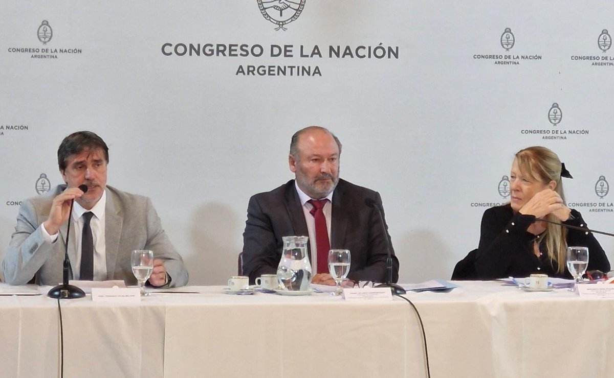 Como candidato preseleccionado a Procurador Penitenciario de la Nación, presenté mi Plan de Acción 2026-2030 ante la Comisión Bicameral. 
La meta es clara: profundizar las líneas que hicieron de la PPN un referente en la protección y promoción de los DDHH de las PPL.