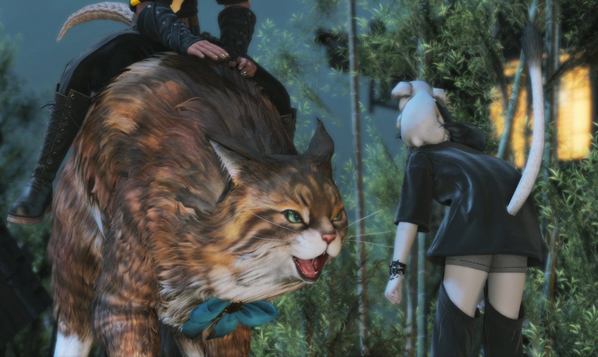 내가고양이라고내가고양이라고내가고양이라고